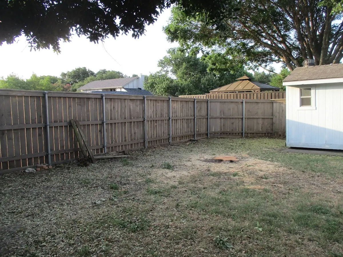 Cleared yard after professional tree removal in Brightwood